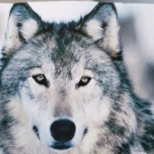 Meet your Posher, Summer